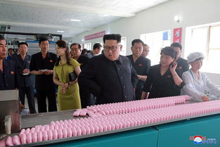 朝中邊境的紡織圖景 金正恩視察背后的經(jīng)濟(jì)信號與區(qū)域觀察